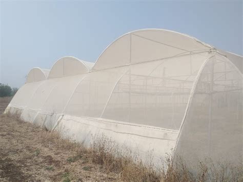 Polycarbonate Prefab Polyhouse Construction Service at Rs 600/sq ft in Pune