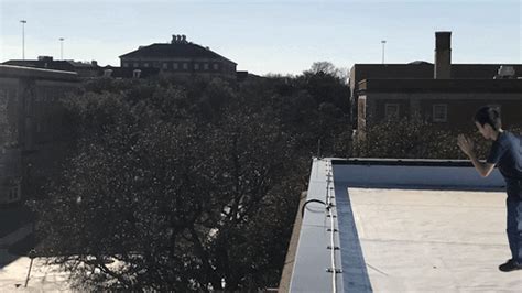 Roof GIFs - Find & Share on GIPHY