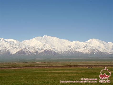 The Alay Valley. Picturesque alpine pastures against the background of permanent snow (Pamir ...