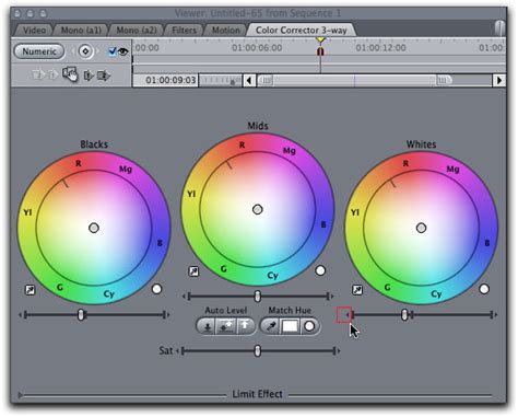 Final Cut Pro 7 - Scopes - Waveform Monitor