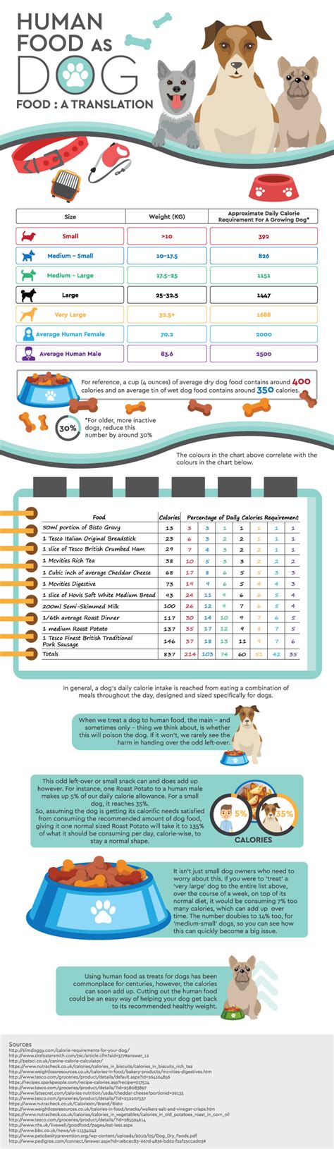 The rising problem of dog obesity - Wet Nose Waggy Tail