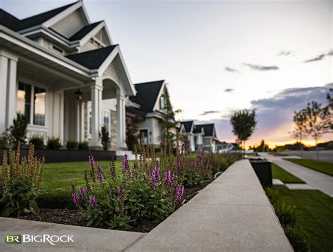 Easy Plants for Utah that Don’t Need a Lot of Water - Big Rock Landscaping