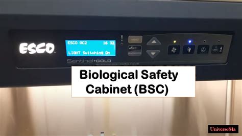 Biosafety Cabinet Types And Uses | www.resnooze.com