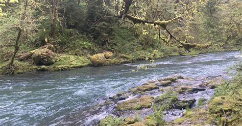 Kalama River Fishing Trip Planning – PNW BestLife