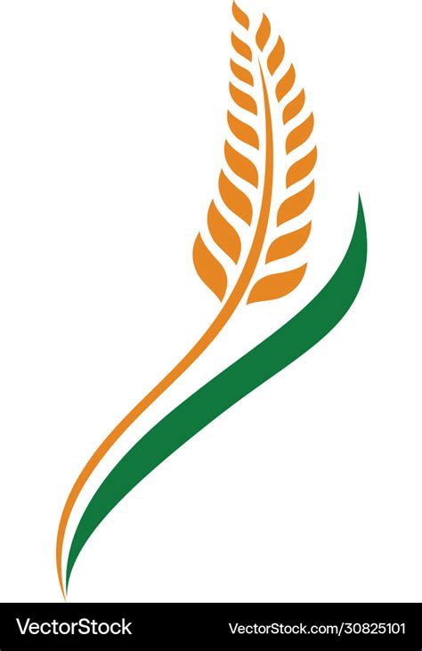 Wheat grain and rice logo inspiration Royalty Free Vector