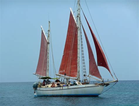 Popular Types of Sailboats Illustrated and Described in Detail