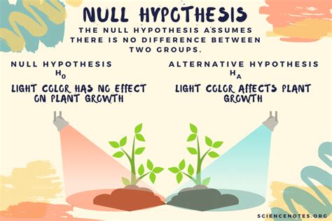 Null Hypothesis Examples