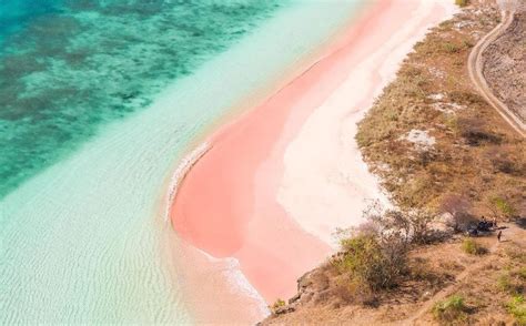 Pantai Pink Lombok, Keindahan Menawan yang Memukau