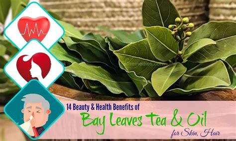 14 Beauty & Health Benefits Of Bay Leaves Tea, Oil For Skin, Hair