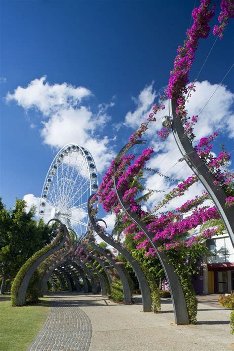 South bank visit brisbane – Artofit