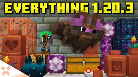 EVERYTHING In Minecraft 1.20.3 - YouTube