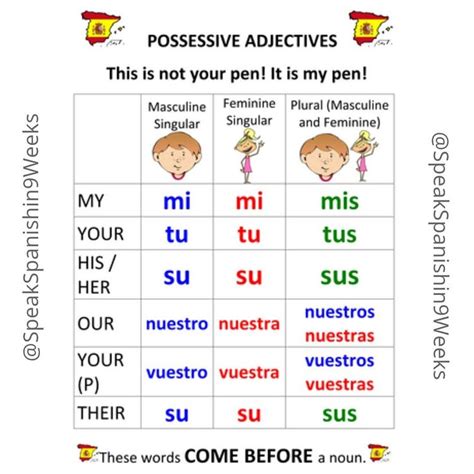 Possessive Adjectives in Spanish 🇪🇸 . These types of adjectives are used to express possession ...