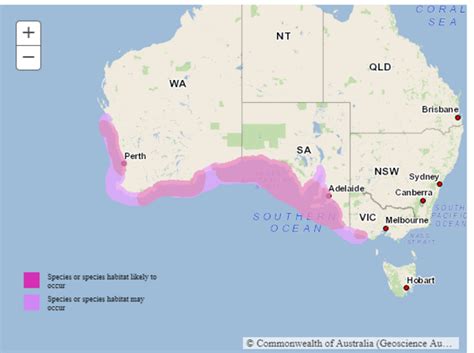 Australian Sea Lion Cameron Bynum 4G timeline | Timetoast timelines