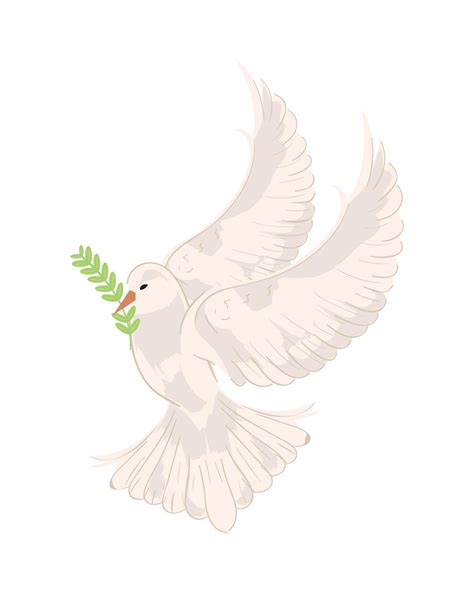 peace dove with branch 10966297 Vector Art at Vecteezy