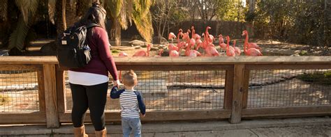 Plan Your Visit - Fresno Chaffee Zoo