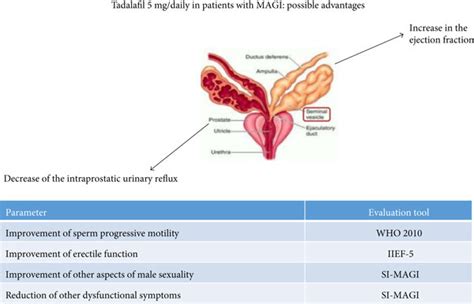 Tadalafil 5 mg/daily in patients with MAGI: possible advantages ...