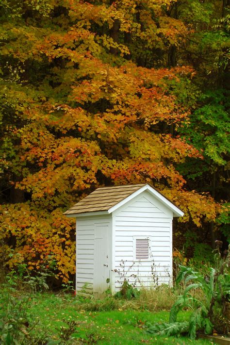 Outhouse In The Woods Free Stock Photo - Public Domain Pictures