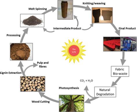 An Overview on the Use of Lignin and Its Derivatives in Fire Retardant ...