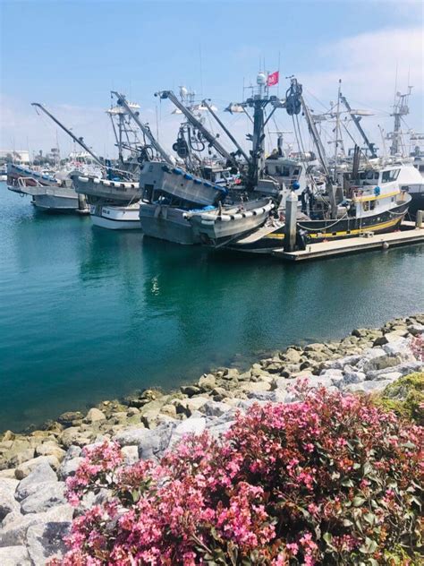 Ventura Harbor Village Marina Begins Major Transition | Ventura Harbor