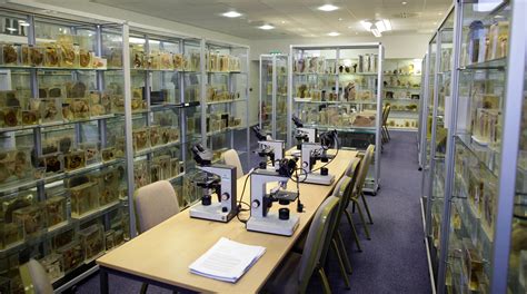 Top treasures at Imperial College London's Pathology Museum