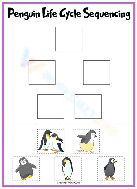 Penguin Life Cycle Sequencing Worksheet