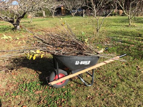 The 1 to 10 of Orchard Pruning | Tonight my Fingers Smell of Garlic