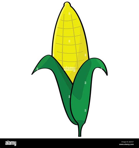 food aliment art illustration corn drawing photo picture image copy ...