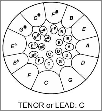 VistaPan - Tenor Pans