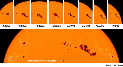 15.2 The Solar Cycle and Sunspots – Douglas College Astronomy 1105