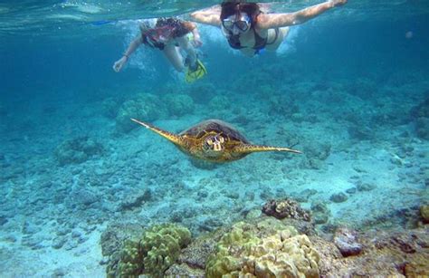 Snorkeling excursion from Tsilivi in Zante