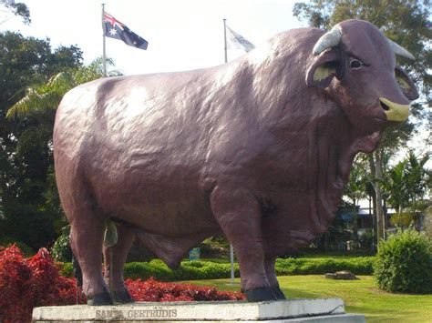 Rockhampton Bull Statues - Family Parks