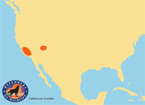 California Condor Range Map