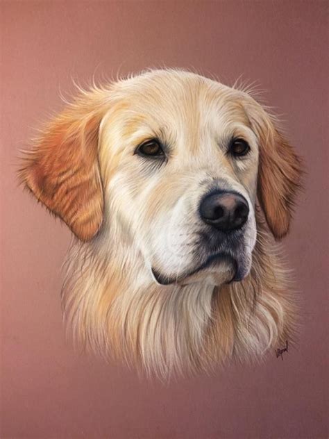 Pin by Lynn Price 222 on pastel | Golden retriever art, Dog paintings ...