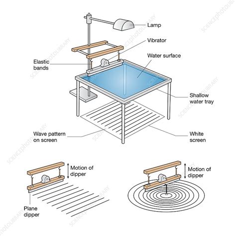 Ripple tank with plane and circular waves, illustration - Stock Image - C050/8232 - Science ...