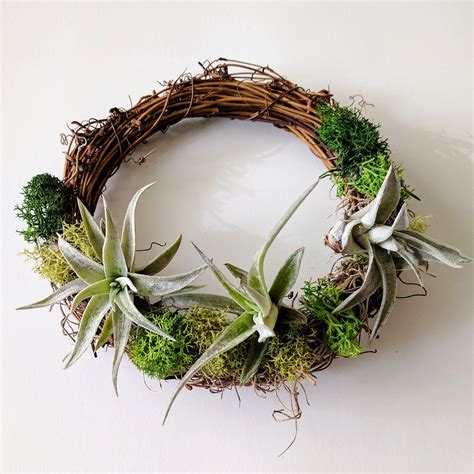 Air Plant Wreath With Air Plants, Spanish Moss and Reindeer Moss - Etsy ...