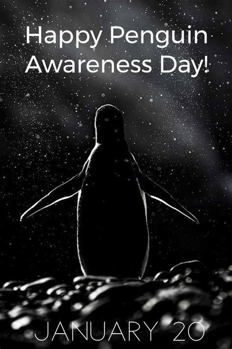 Happy Penguin Awareness Day! en 2024