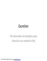 Understanding Excretion: The Elimination of Metabolic Waste and ...