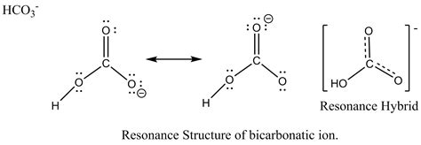 Hco3 Lewis Structure How To Draw The Lewis Structure For