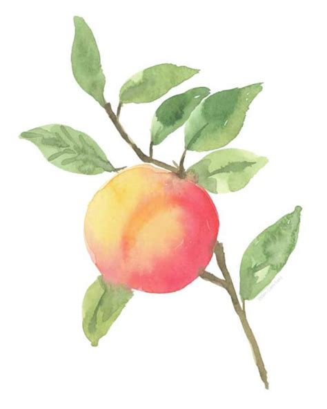 Watercolor Peach Botanica/ Watercolor Peach Art/ Watercolor Fruit/ Farmhouse Decor/ Kitchen Wall ...