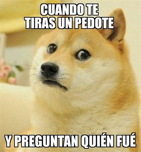 memes de perros Thank You Memes, Funny Thank You, Doge Dog, Doge Meme, Images Gif, Funny Images ...