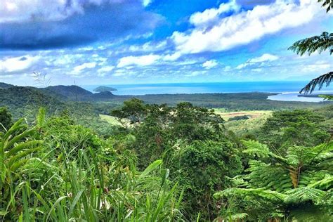 Cairns to Daintree Rainforest Park Private Day Tour with Lunch 2025 ...