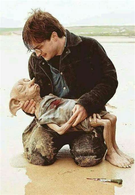 Dobby muere | Harry potter scene, Dobby harry potter, Harry potter