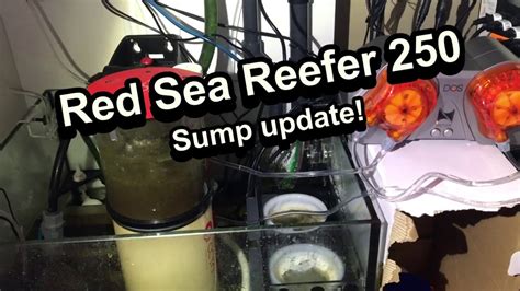 Red sea reefer 250 sump! 11 month sump update! New APEX DOS added ...