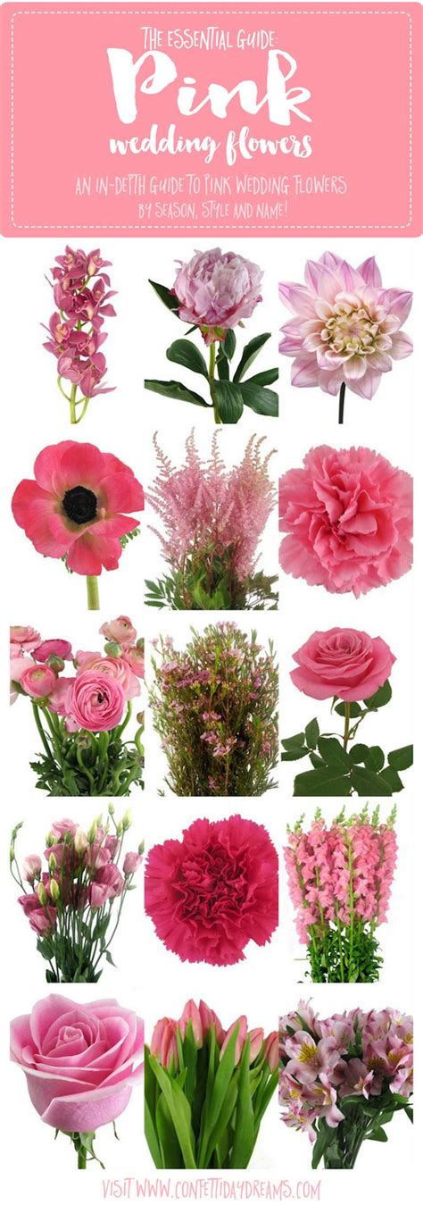 120 best Flower Dictionary: Flower Names Pictures and Seasons images on ...