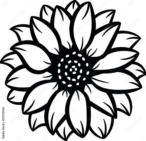 Sunflower Clip Art Vector