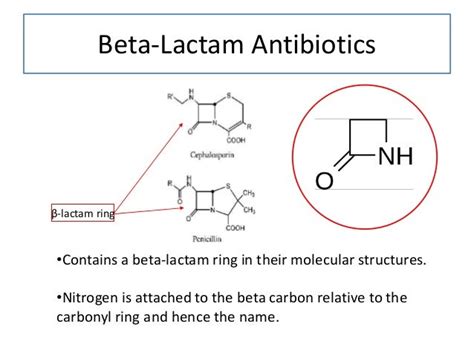 Beta Lactam Antibiotics