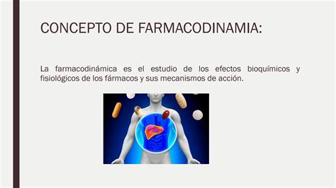 SOLUTION: Farmacodinamia - Studypool