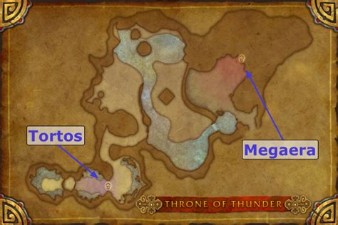 Icy Veins: Throne of Thunder Raid Guides | WoW Hunters Hall