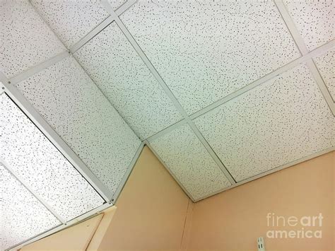 White Ceiling tiles Photograph by Tom Gowanlock