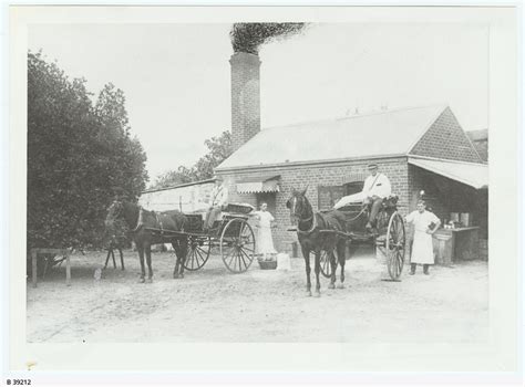 Tanunda • Photograph • State Library of South Australia